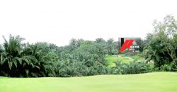 PalmView Saujana Bungalow@ Saujana Golf & Country Resort