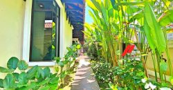 Tropicana Indah Tropical Balinese Garden Bungalow @ Tropicana
