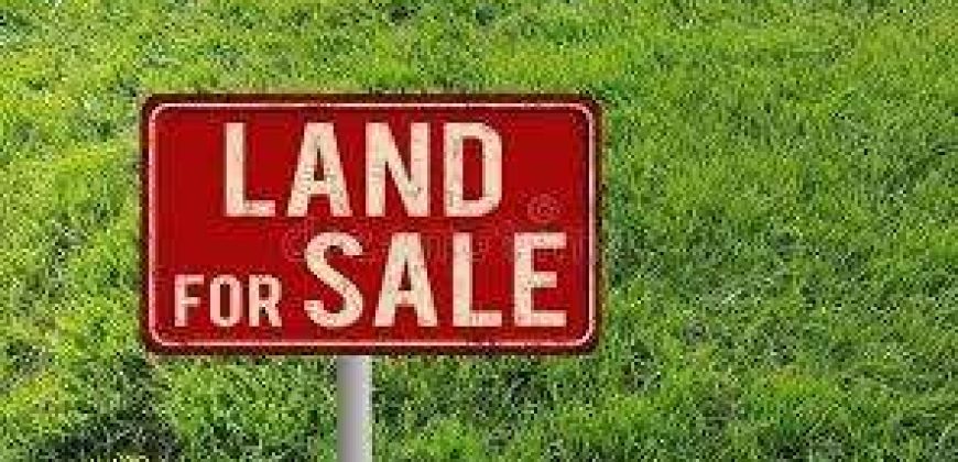 [11,097 SQFT] Country Height Damansara Empty Land