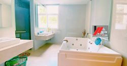 3 Storey Semi D Pool Villa,Tropicana Indah